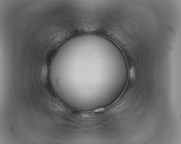 X0000110891299200907021509