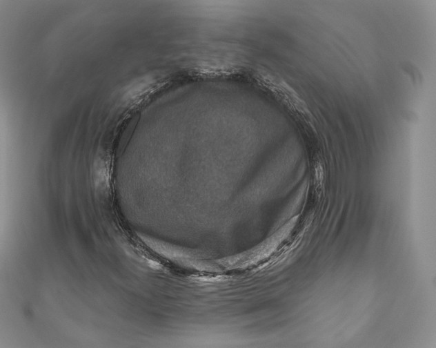 X0000110891300200907021509