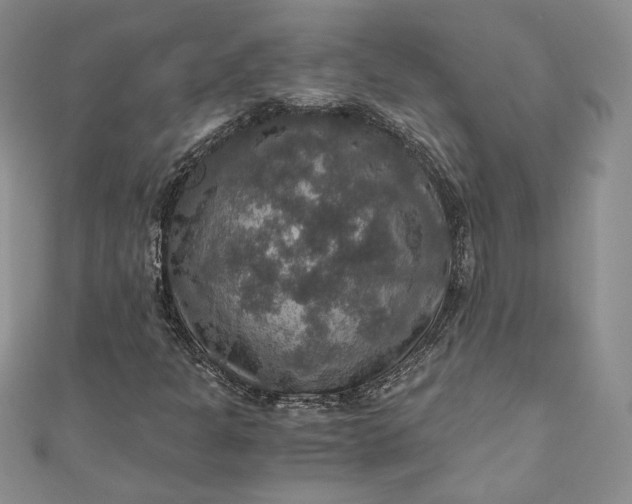 X0000110891301200907021509