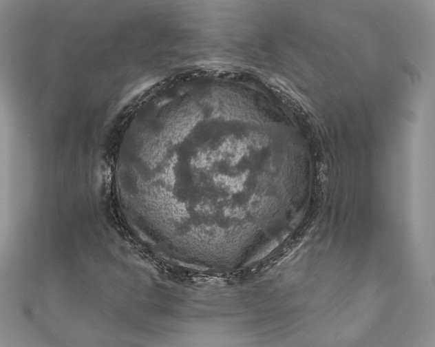X0000110891302200907021509