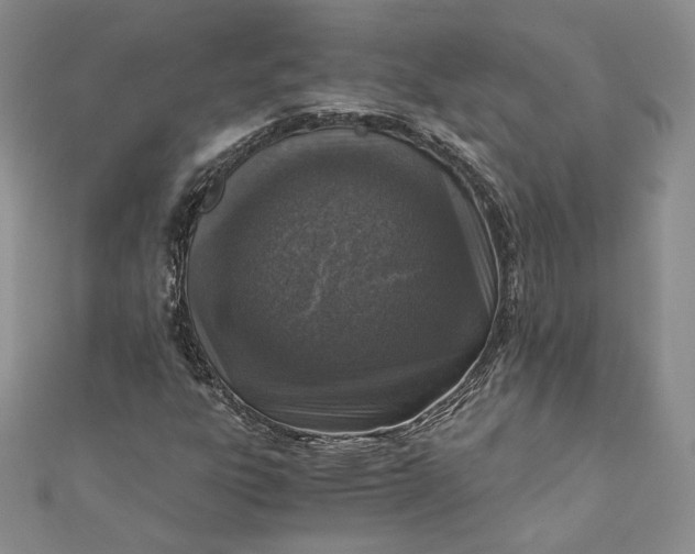 X0000110891303200907021509