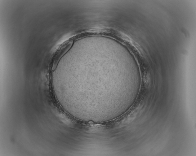 X0000110891304200907021509