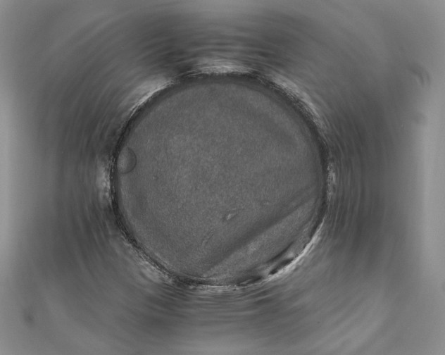 X0000110891305200907021509