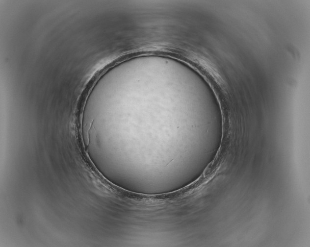 X0000110891308200907021509