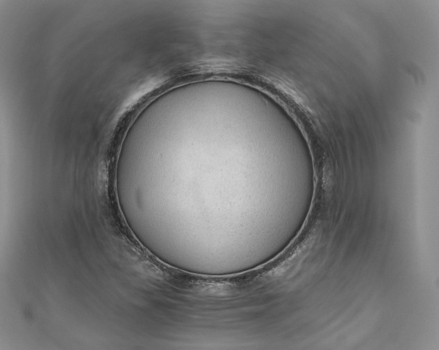 X0000110891309200907021509