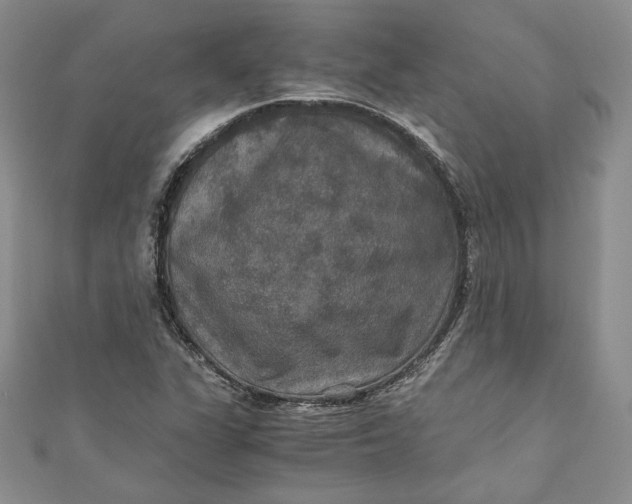 X0000110891311200907021509