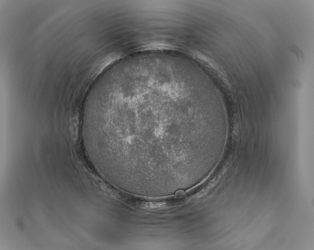X0000110891313200907021509