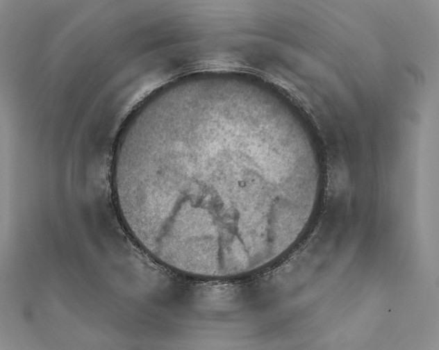 X0000110891314200907021509
