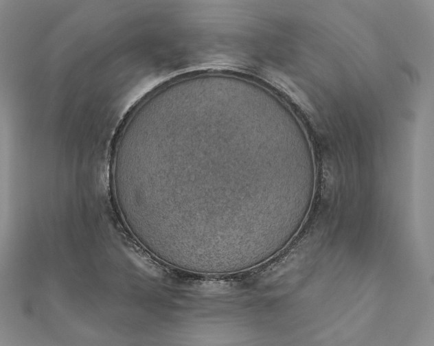 X0000110891316200907021509