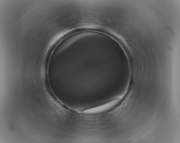 X0000110891319200907021509