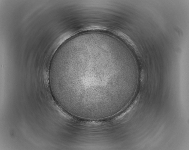 X0000110891321200907021509