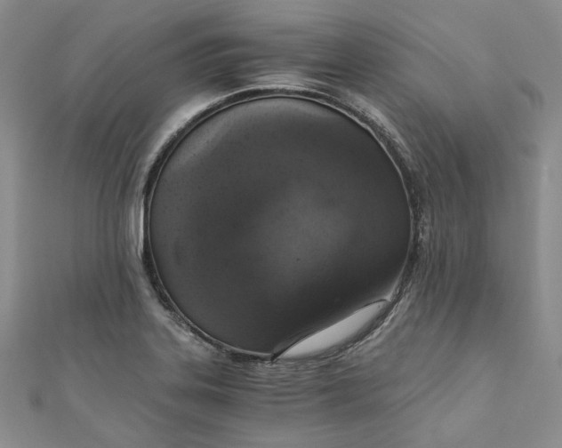 X0000110891323200907021509