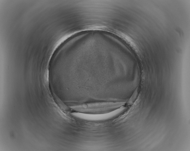 X0000110891324200907021509