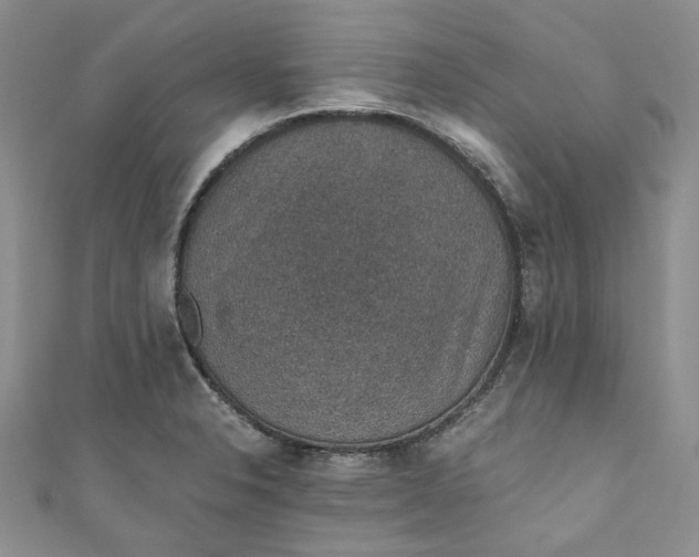 X0000110891326200907021509