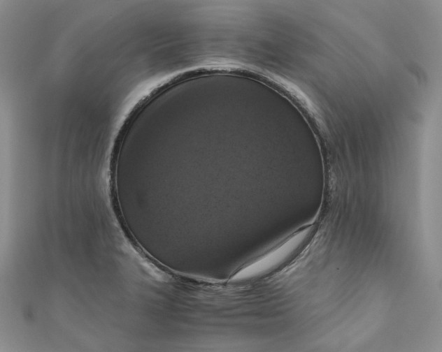 X0000110891327200907021509