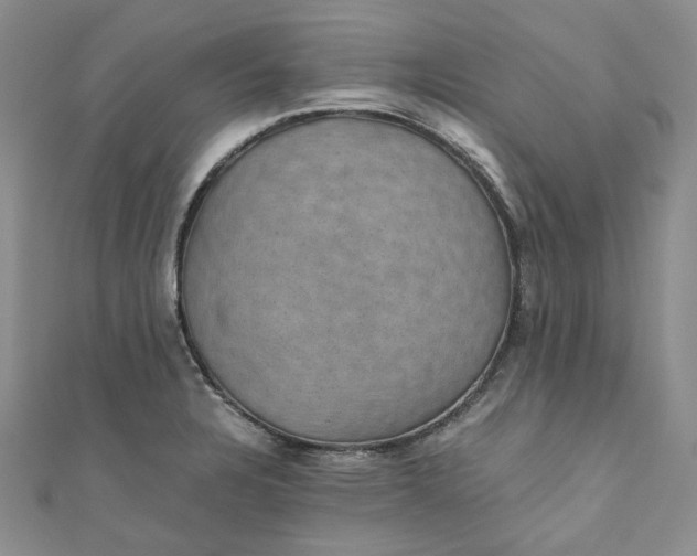 X0000110891328200907021509
