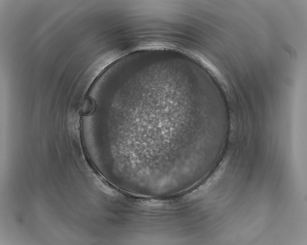 X0000110891329200907021509