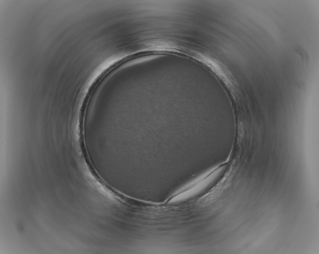 X0000110891331200907021509
