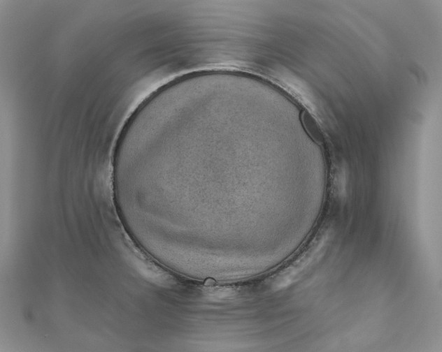 X0000110891332200907021509