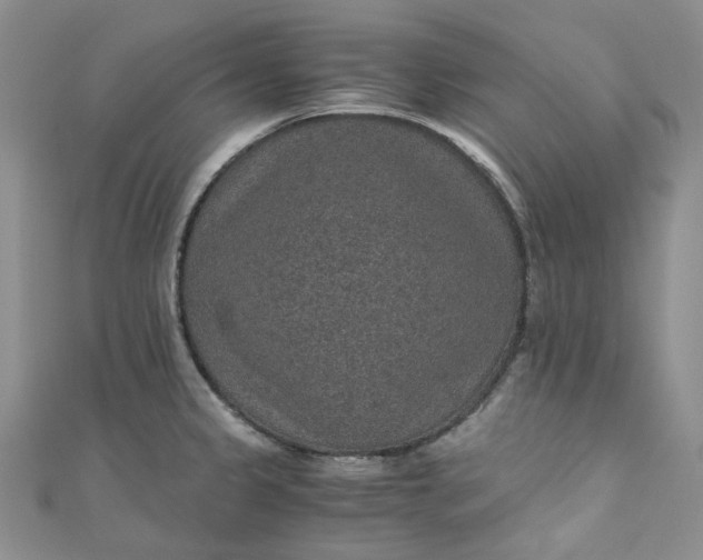 X0000110891333200907021509