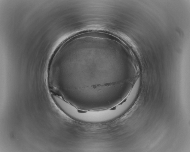 X0000110891334200907021509
