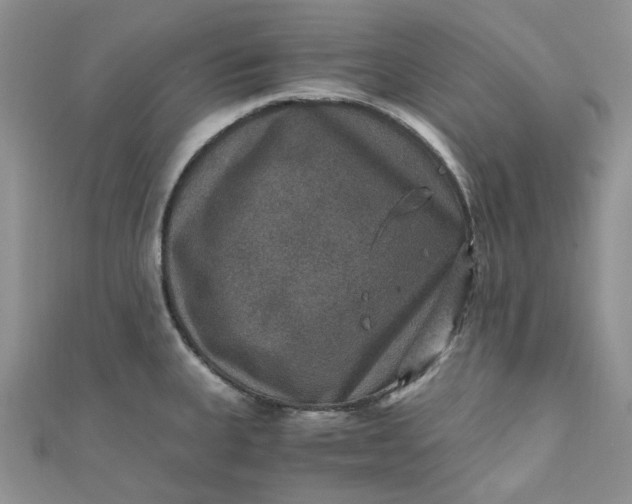 X0000110891335200907021509
