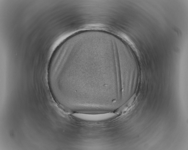 X0000110891336200907021509