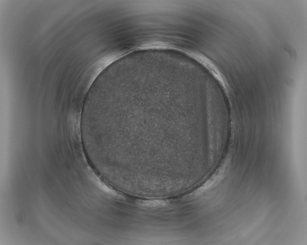X0000110891337200907021509