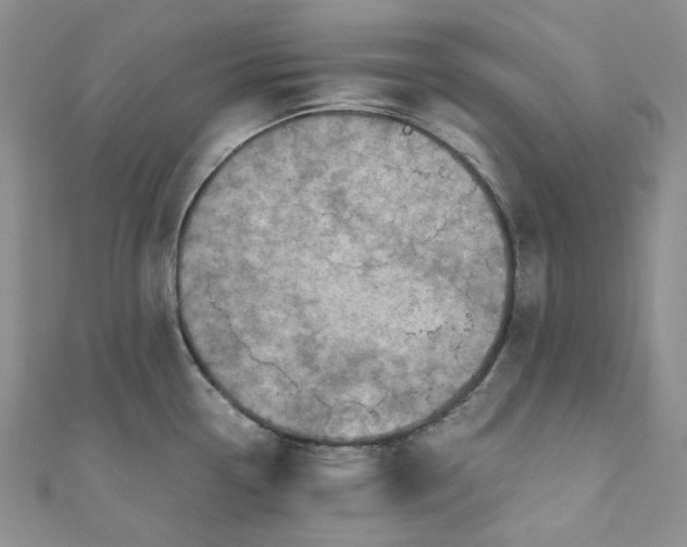 X0000110891338200907021509