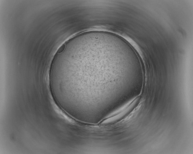 X0000110891341200907021510