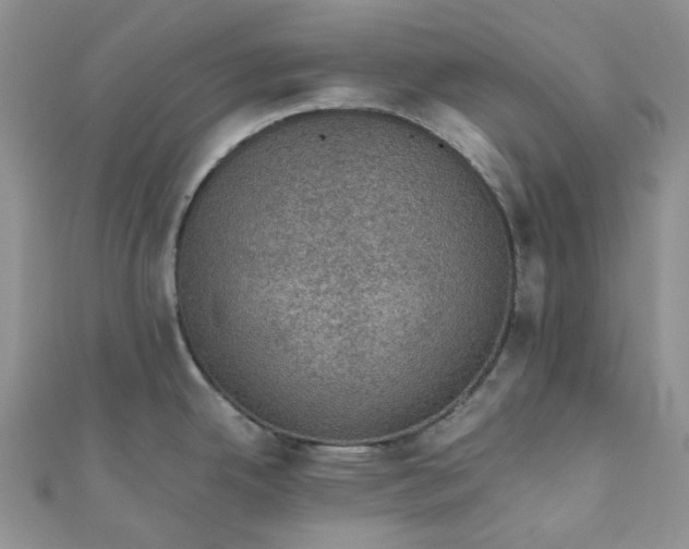X0000110891342200907021510
