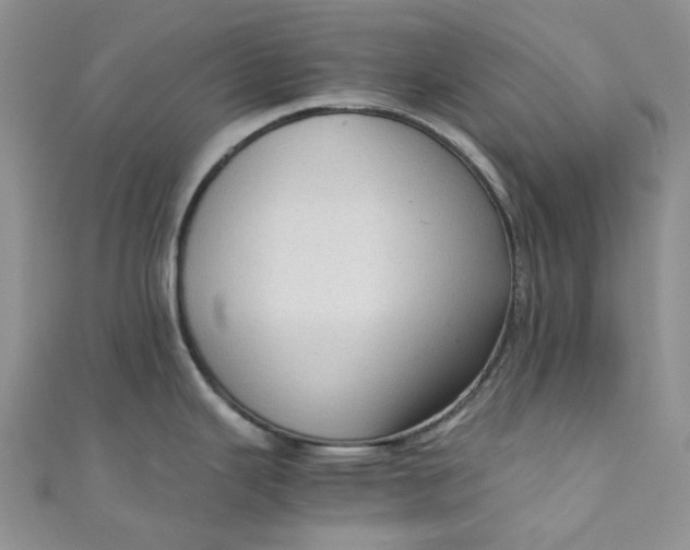 X0000110891343200907021510