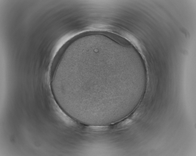 X0000110891344200907021510