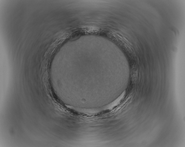 X0000110891345200907021509