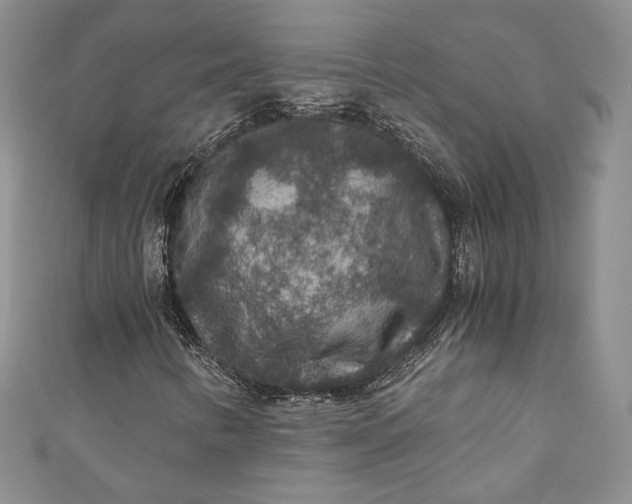 X0000110891346200907021509