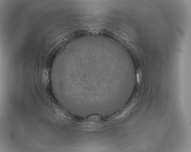 X0000110891347200907021509