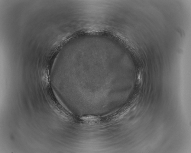 X0000110891348200907021509