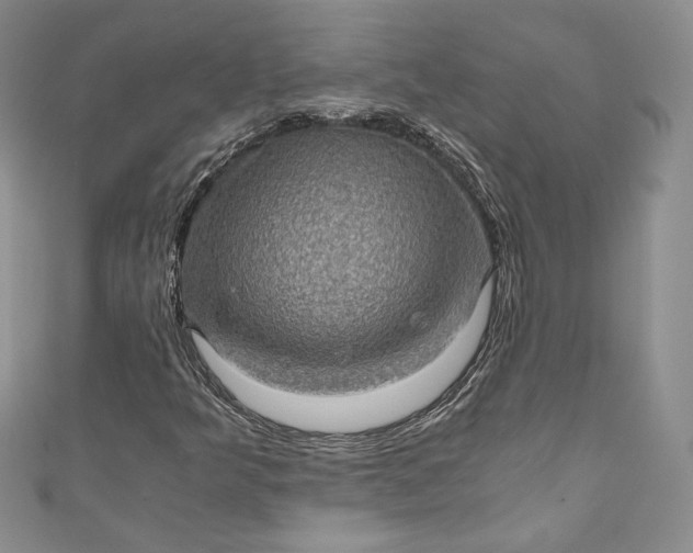 X0000110891349200907021509