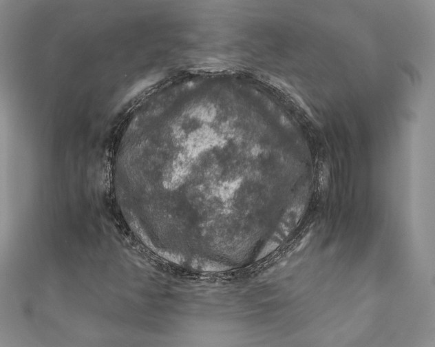 X0000110891350200907021509