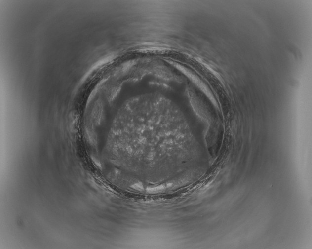 X0000110891351200907021509