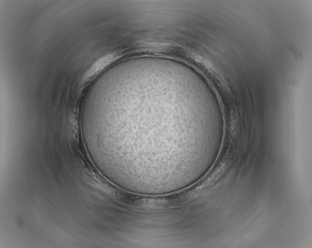 X0000110891354200907021509