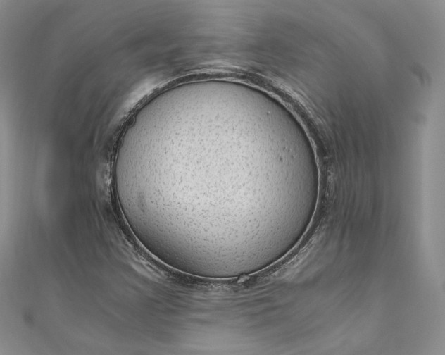 X0000110891355200907021509