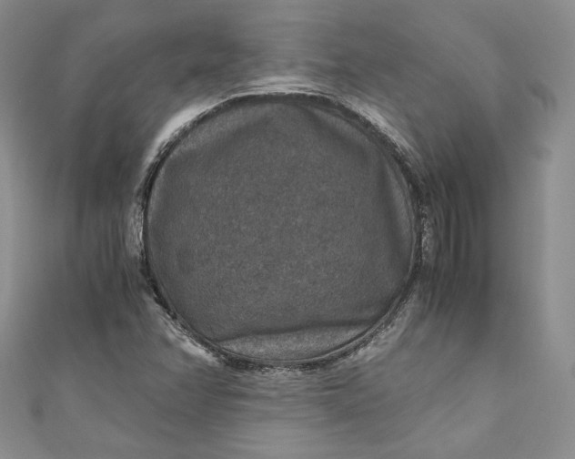 X0000110891358200907021509