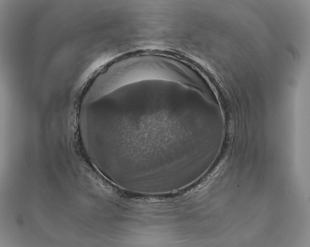 X0000110891359200907021509