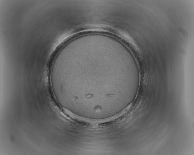 X0000110891360200907021509
