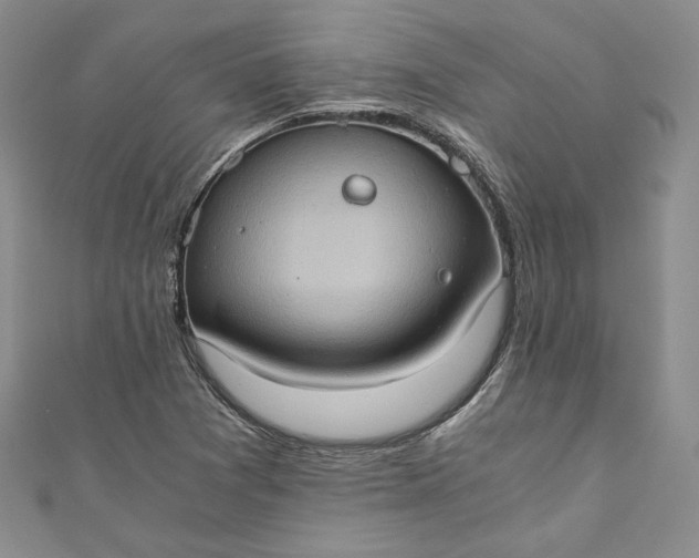 X0000110891361200907021509