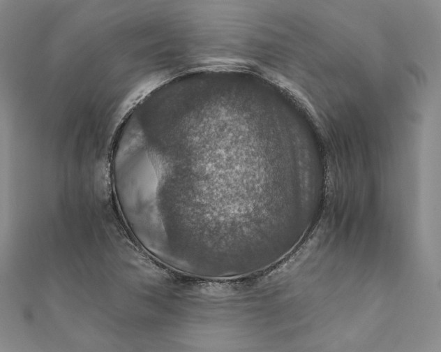 X0000110891362200907021509