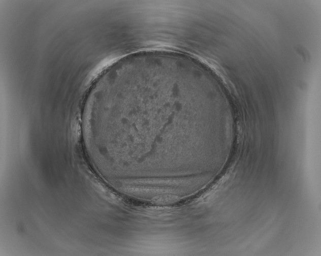 X0000110891363200907021509