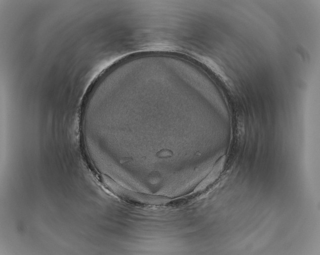 X0000110891364200907021509