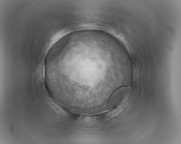 X0000110891365200907021509